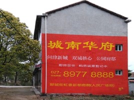 淳化百分之90的人都不了解的农村墙体广告
