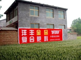 淳化如何让墙体广告展现最大化效果