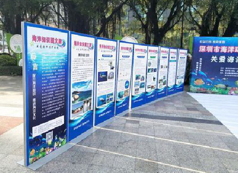 淳化KT板的种类和知识。